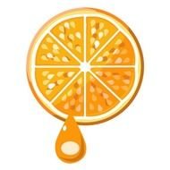 Orange Juice Clip Art N52