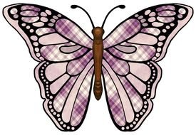 drawn patterned butterfly