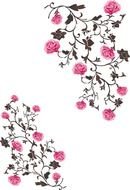 Flowers Vector drawing
