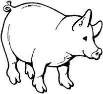 Schwein Ausmalen Bilder drawing