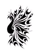Ä°llustration of Peacock Tattoo Designs