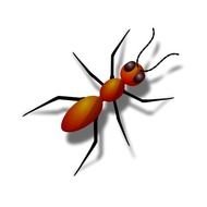 Ant Clip Art N85