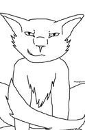 Evil Warrior Cat drawing