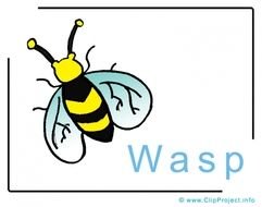 Wasp Clip Art N16