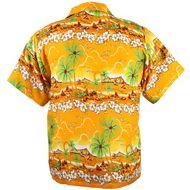 Beautiful Colorful Hawaiian Shirt