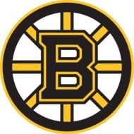 Boston Bruins Logo N25