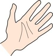 Open Hand Palm Clip Art N2