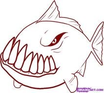 Piranha Fish Drawings N2