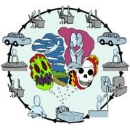 Circle Of Life Meme drawing