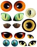 Cat Eyes Clip Art N19
