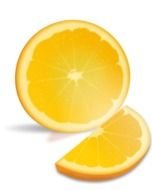 painted half and orange slice