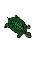 Turtle Clip Art N123