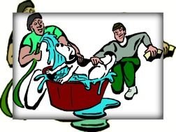 Cant Find The Perfect Clip Art N658