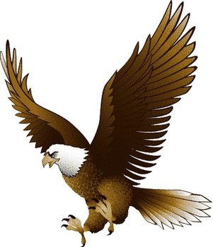 Bald Eagle Clip Art N57