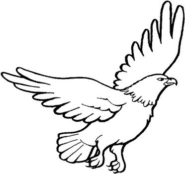 Eagle Coloring Pages N4