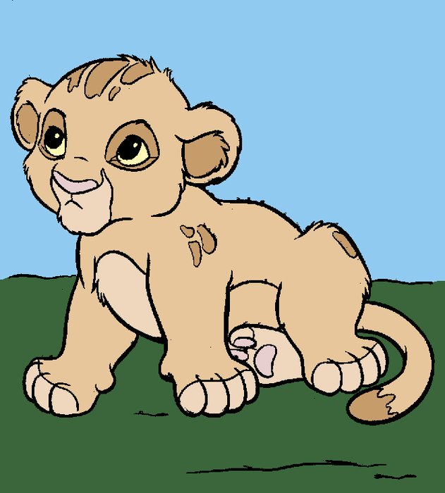 Baby Simba N2