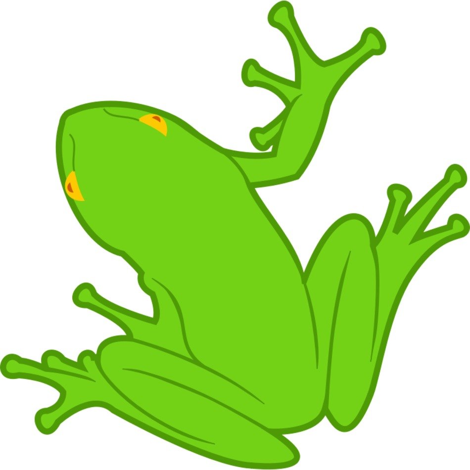 İllustration of the green Frog