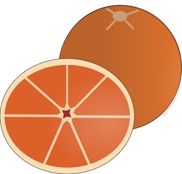 Orange Fruit Clip Art Free N7