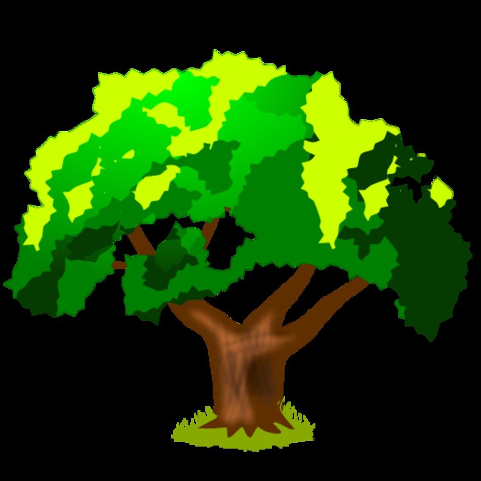 Category Archives Arbol