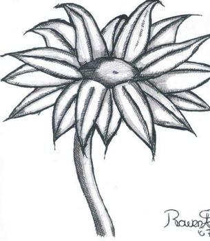 Black And White Flower Drawings N9