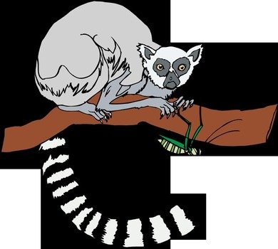 Ring Tailed Lemur Clip Art