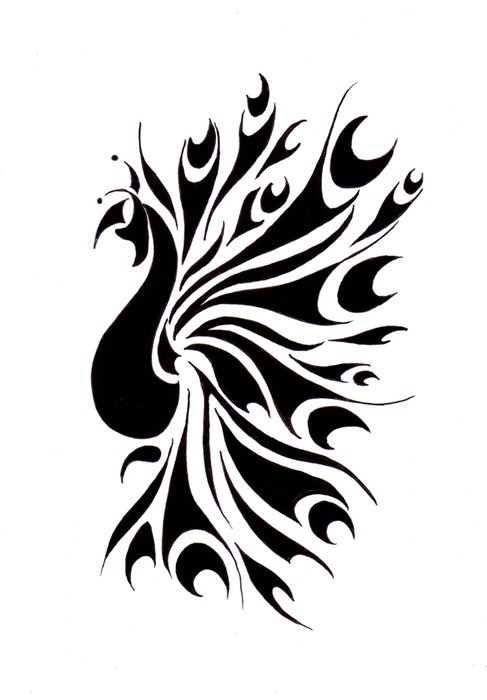Ä°llustration of Peacock Tattoo Designs