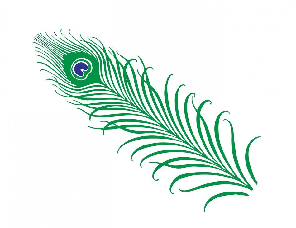 Peacock Feathers Clip Art N2