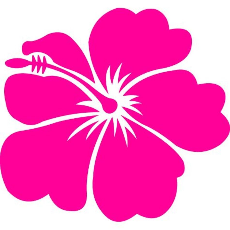 Hot Pink Flower Clip Art N9
