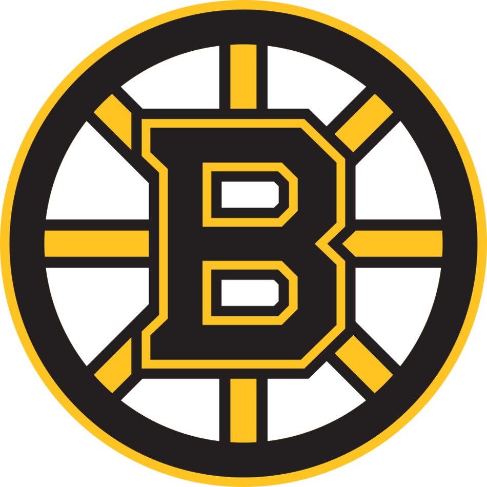 Boston Bruins Logo N25