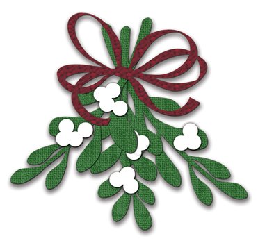 Transparent Mistletoe
