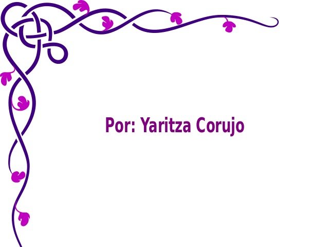 Purple Flower Border N2