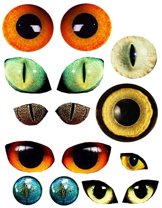 Cat Eyes Clip Art N19