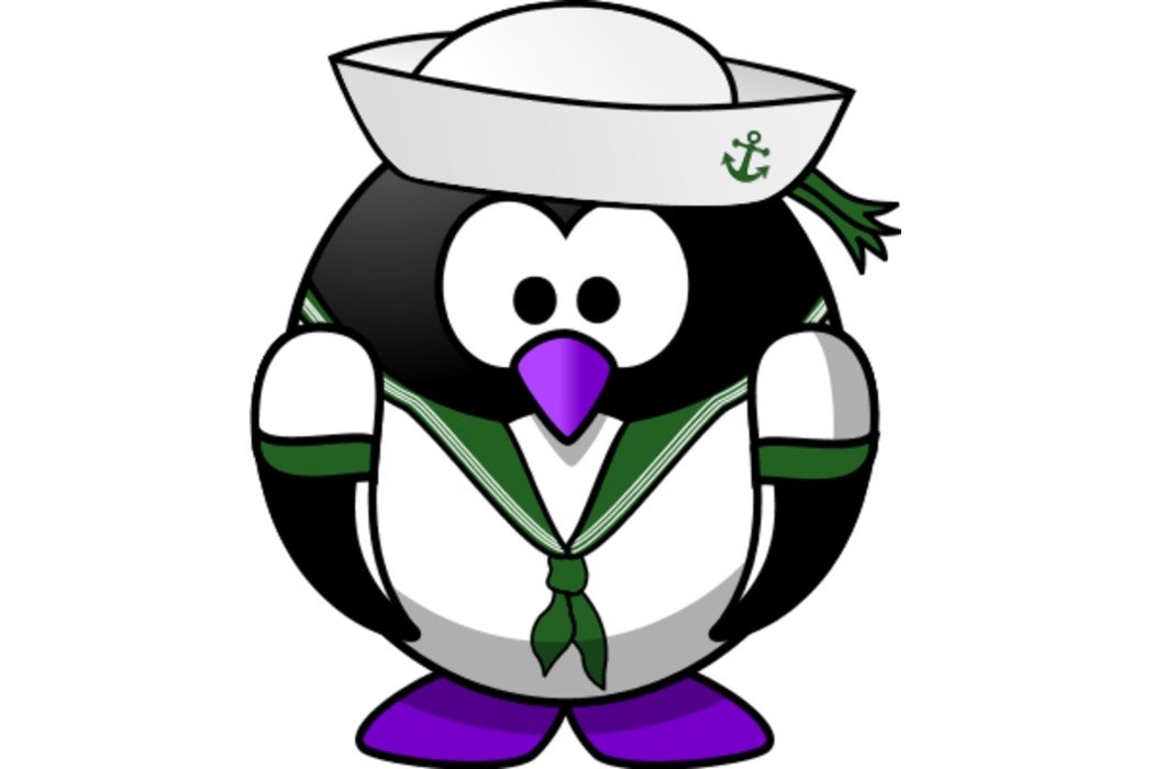 Penguin Clip Art N179