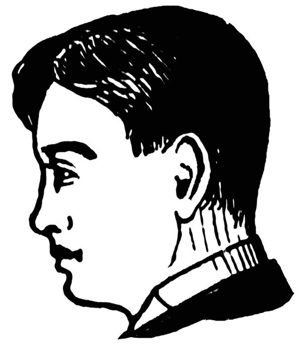 Face Pro drawing