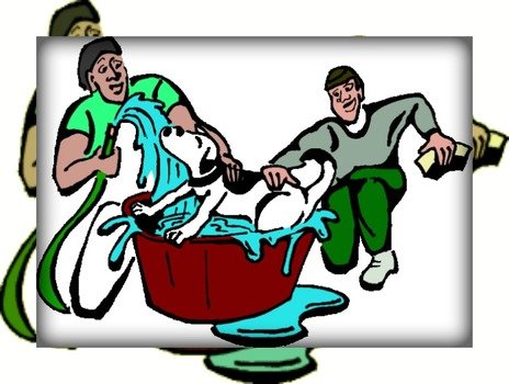 Cant Find The Perfect Clip Art N658