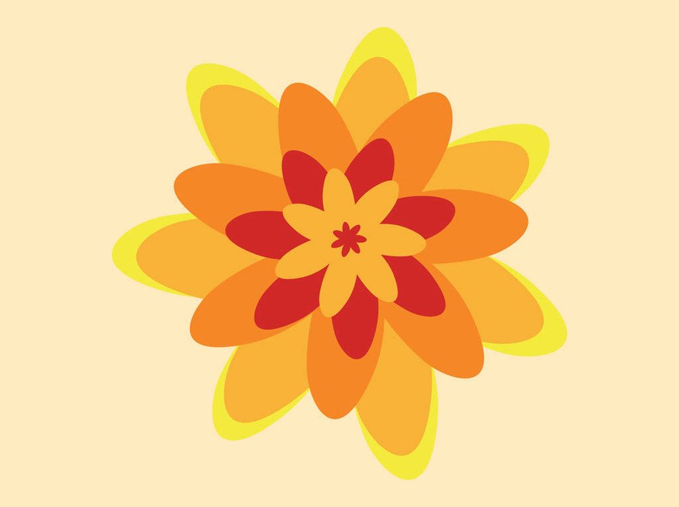 tricolor spring flower on pink background