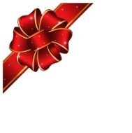 Gift Ribbon N8
