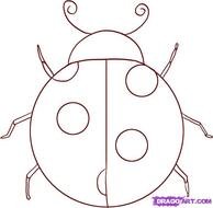 Simple Ladybug Drawing