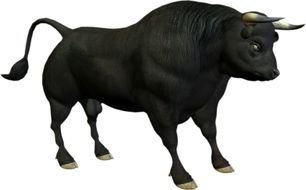 Black Bull as a picture for a clipart