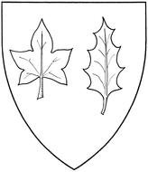 shield with leaves as a graphic illustration