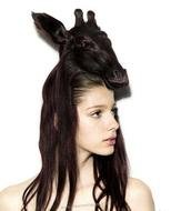Crazy Hairstyles