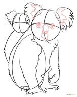 How To Draw A Koala Bear N2