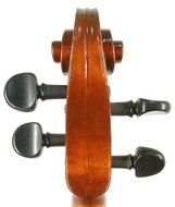 Violin of Albanelli Franco