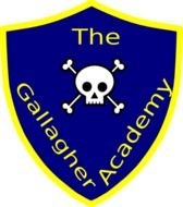Gallagher Academy N2