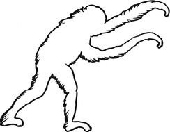 Orangutan Coloring Page