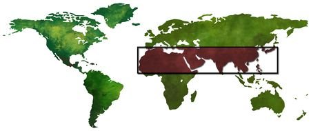green world map on the white background
