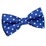 blue bow tie with white dots on a white background