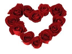 Valentines Day Hearts And Roses drawing