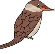 Kookaburra Clip Art N3