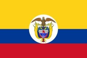 drawn coat of arms on a colombian flag